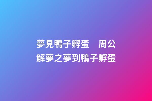 夢見鴨子孵蛋　周公解夢之夢到鴨子孵蛋